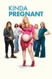 Kinda Pregnant (2025) Hindi Dubbed Netflix